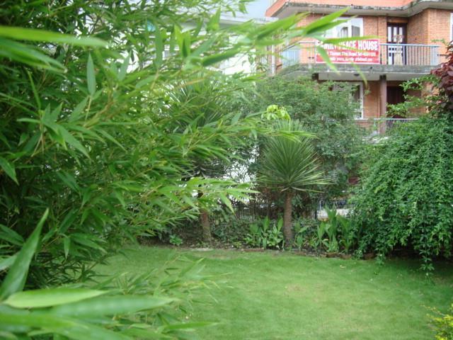 Kathmandu Peace Guesthouse Экстерьер фото